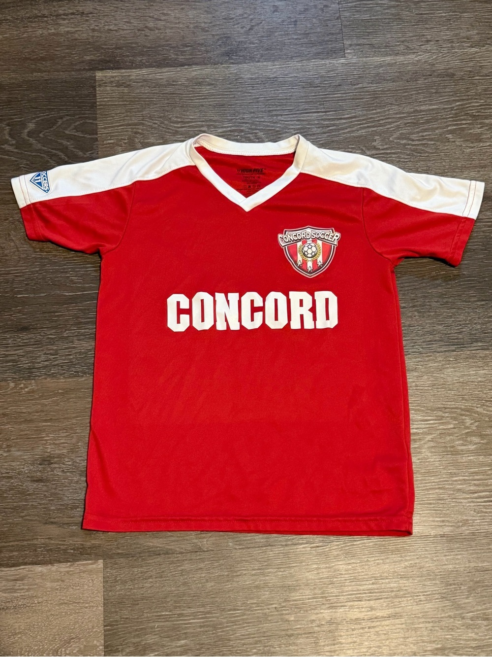 Y2K Soccer Jersey / Sportcore Essential